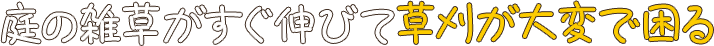 庭の雑草がすぐ伸びて草刈が大変で困る